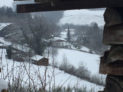 Villa Waldhaus - Outdoor photo 10