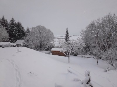 Villa Waldhaus - Environment photo 32