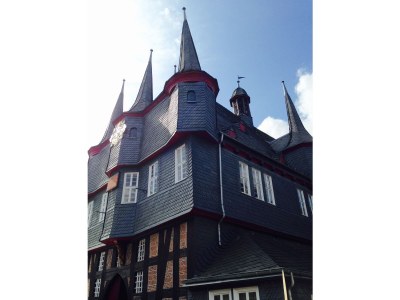 Villa Waldhaus - Environment photo 35