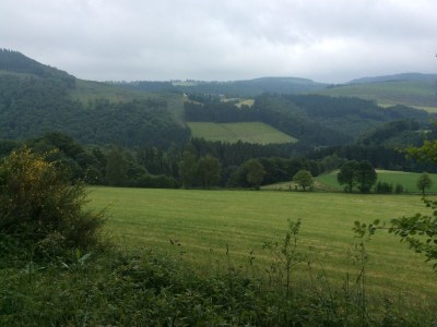 Villa Waldhaus - Environment photo 37