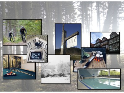 Villa Waldhaus - Environment photo 39