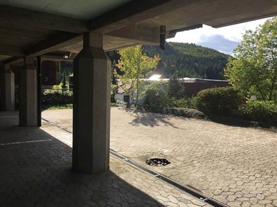 Holiday apartment Time-out apartment Black Forest Sasbachwalden - Features photo 11