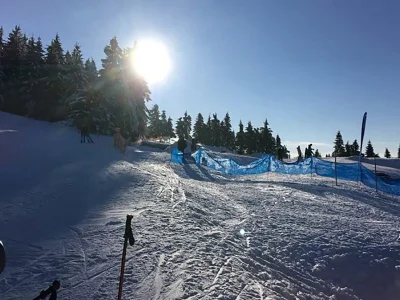 Holiday apartment Time-out apartment Black Forest Sasbachwalden - Environment photo 12