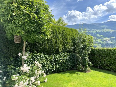 Holiday house Panorama Lounge - Outdoor photo 8