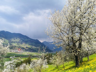 Holiday house Panorama Lounge - Outdoor photo 14