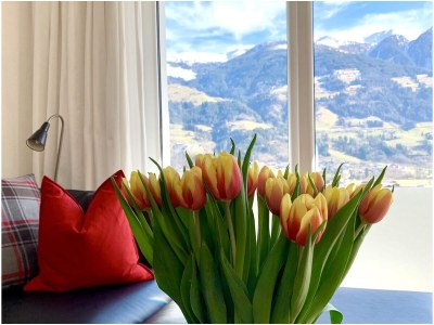 Holiday house Panorama Lounge - Features photo 28