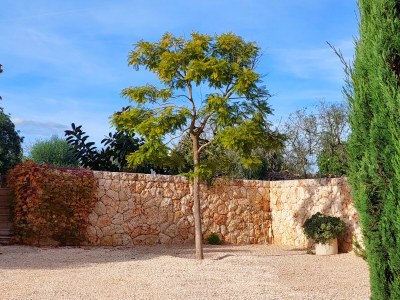Finca Gran Valenc - Outdoor photo 7
