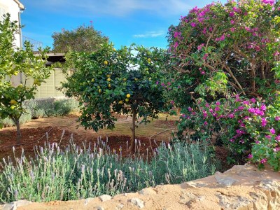 Finca Gran Valenc - Outdoor photo 12