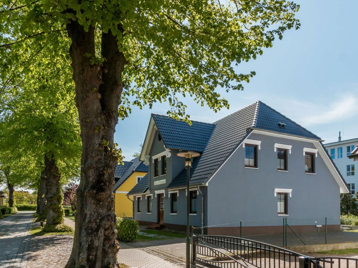 Holiday apartment Haus Ostseenixe - Outdoor photo 3