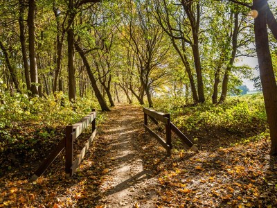 Holiday apartment Haus Ostseenixe - Environment photo 23