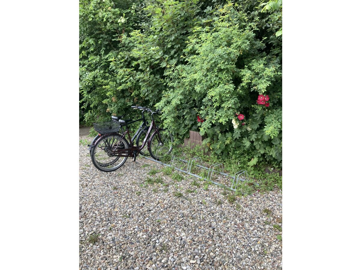 Holiday apartment Möwennest - Outdoor photo 4