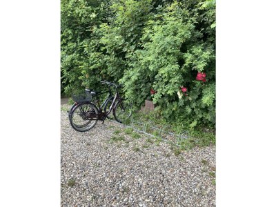 Holiday apartment Möwennest - Outdoor photo 4