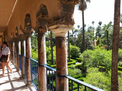 Holiday house La Golondrina - Environment photo 33