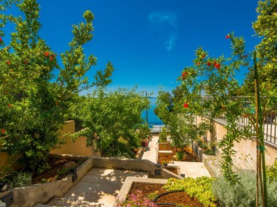 Villa Villa St.Martin-Reef - Outdoor photo 17