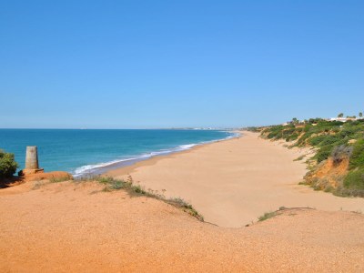 Holiday house 0569 Finca Cortijo Los Olivos - Environment photo 19
