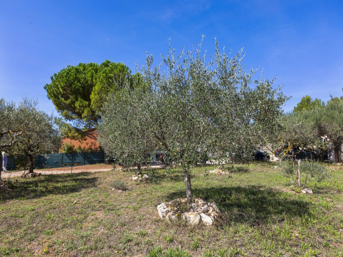 Holiday house Ferienhaus in Brignoles mit Pool - Outdoor photo 2