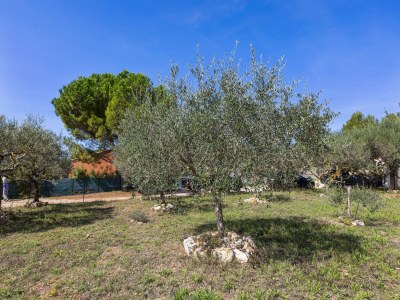 Holiday house Ferienhaus in Brignoles mit Pool - Outdoor photo 2