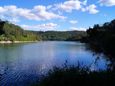 Holiday house Ferienhaus in Brignoles mit Pool - Environment photo 18
