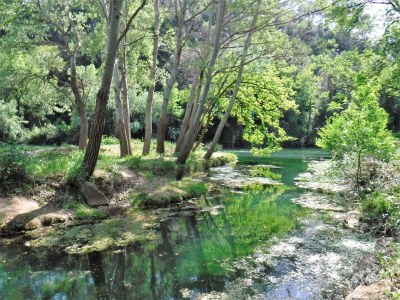 Holiday house Ferienhaus in Brignoles mit Pool - Environment photo 21