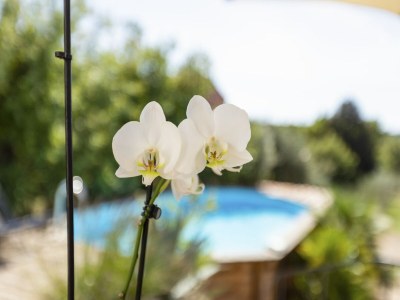 Holiday house Ferienhaus in Brignoles mit Pool - Outdoor photo 27