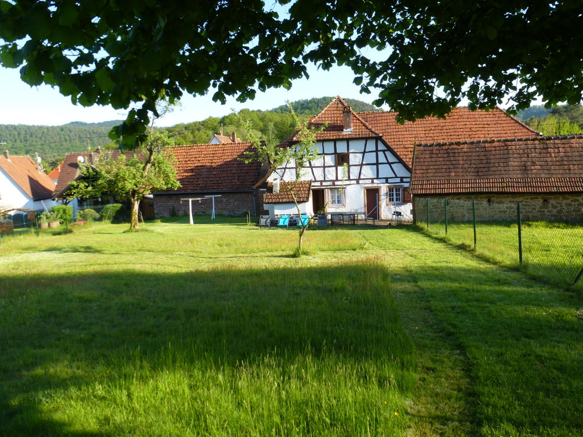 Holiday house Domaine du Chasseur Wanzel - Outdoor photo 4