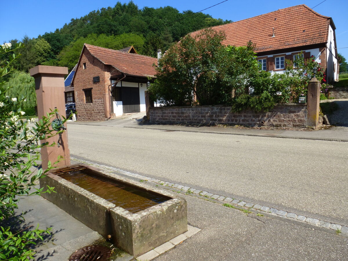 Holiday house Domaine du Chasseur Wanzel - Outdoor photo 5