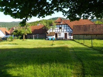 Holiday house Domaine du Chasseur Wanzel - Outdoor photo 4