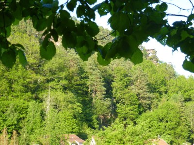 Holiday house Domaine du Chasseur Wanzel - Environment photo 29