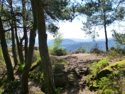 Holiday house Domaine du Chasseur Wanzel - Environment photo 32