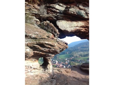 Holiday house Domaine du Chasseur Wanzel - Environment photo 33