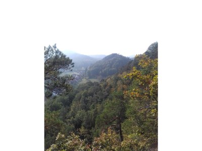 Holiday house Domaine du Chasseur Wanzel - Environment photo 35