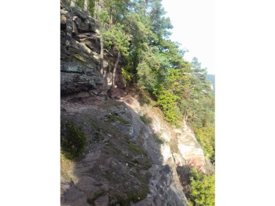 Holiday house Domaine du Chasseur Wanzel - Environment photo 36