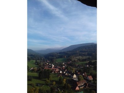 Holiday house Domaine du Chasseur Wanzel - Environment photo 38