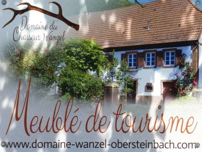 Holiday house Domaine du Chasseur Wanzel - Document photo 40
