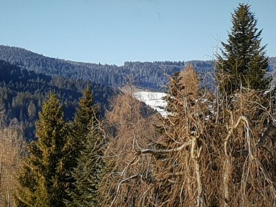 Holiday apartment Sonnentau - Outdoor photo 8