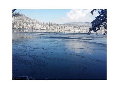 Holiday apartment Sonnentau - Environment photo 23