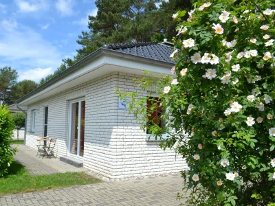 Holiday house Albatros in Karlshagen - Holiday house
