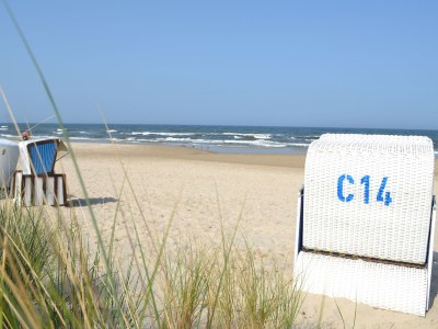 Holiday house Albatros - Environment photo 15