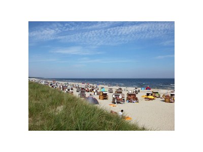 Holiday house Albatros - Environment photo 16