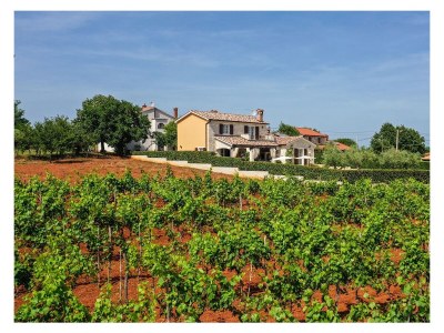 Holiday house Elizabet - Outdoor photo 11