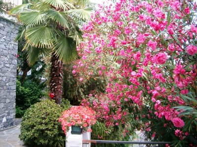 Holiday room Ca'Ligure - Outdoor photo 7