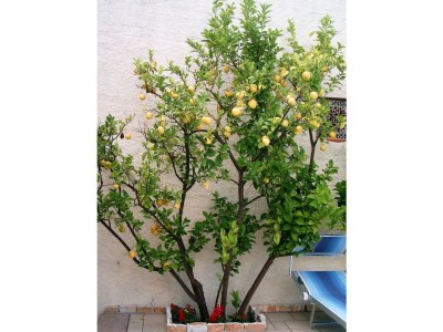 Holiday room Ca'Ligure - Outdoor photo 8