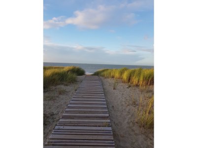 Holiday house Time Out - Environment photo 28