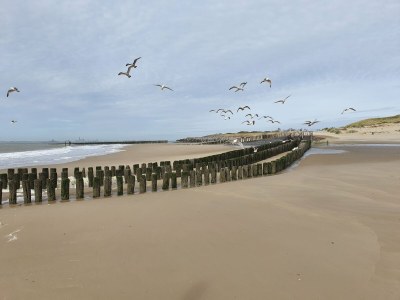 Holiday house Time Out - Environment photo 36