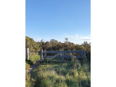 Holiday house Time Out - Environment photo 37