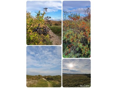 Holiday house Time Out - Environment photo 38