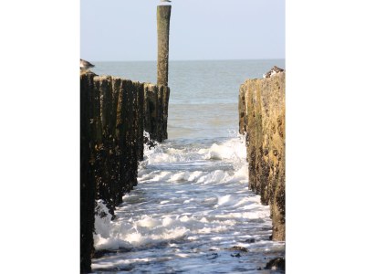 Holiday apartment Waterranonkel 1 - Environment photo 12