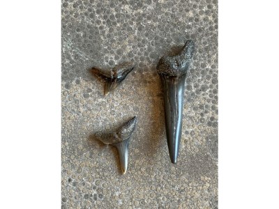 Holiday apartment Waterranonkel 1 - Environment photo 18