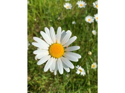 Holiday apartment Waterranonkel 1 - Environment photo 20