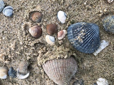 Holiday apartment The Dunes 203 - Environment photo 14